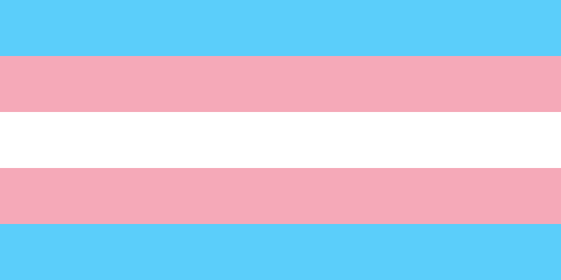 Michigans Transgender policies: correction