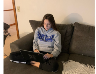 Jr. Sierra Rodriguez assesses online school