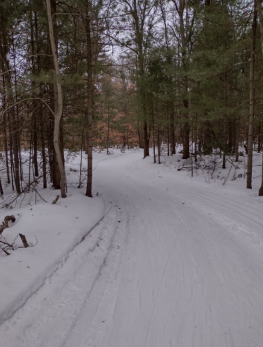 Pigeon Creek provides a great option for local cross-country skiers.