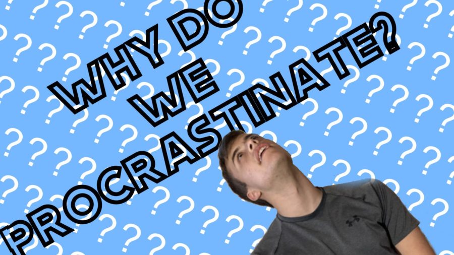 Why do we Procrastinate? (Video)