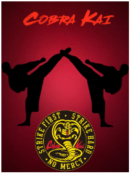 WO karate experts analyze Cobra Kai