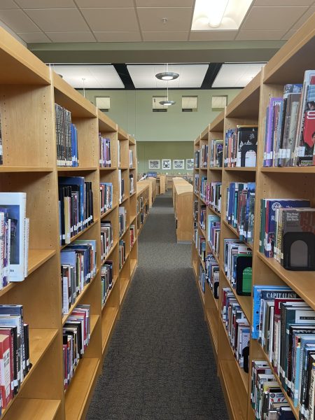 In some libraries, the shelves are not as full because political forces are banning books.