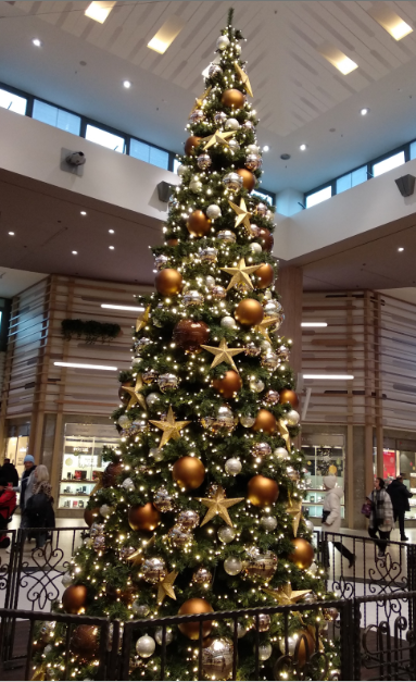 Some elements of Christmas are similar comparing the US to Germany, including a traditional Christmas tree.