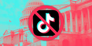 How did the TikTok ban affect WO students?